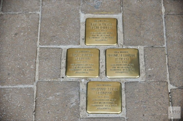 Het verhaal van de Cohens & de Nijveens